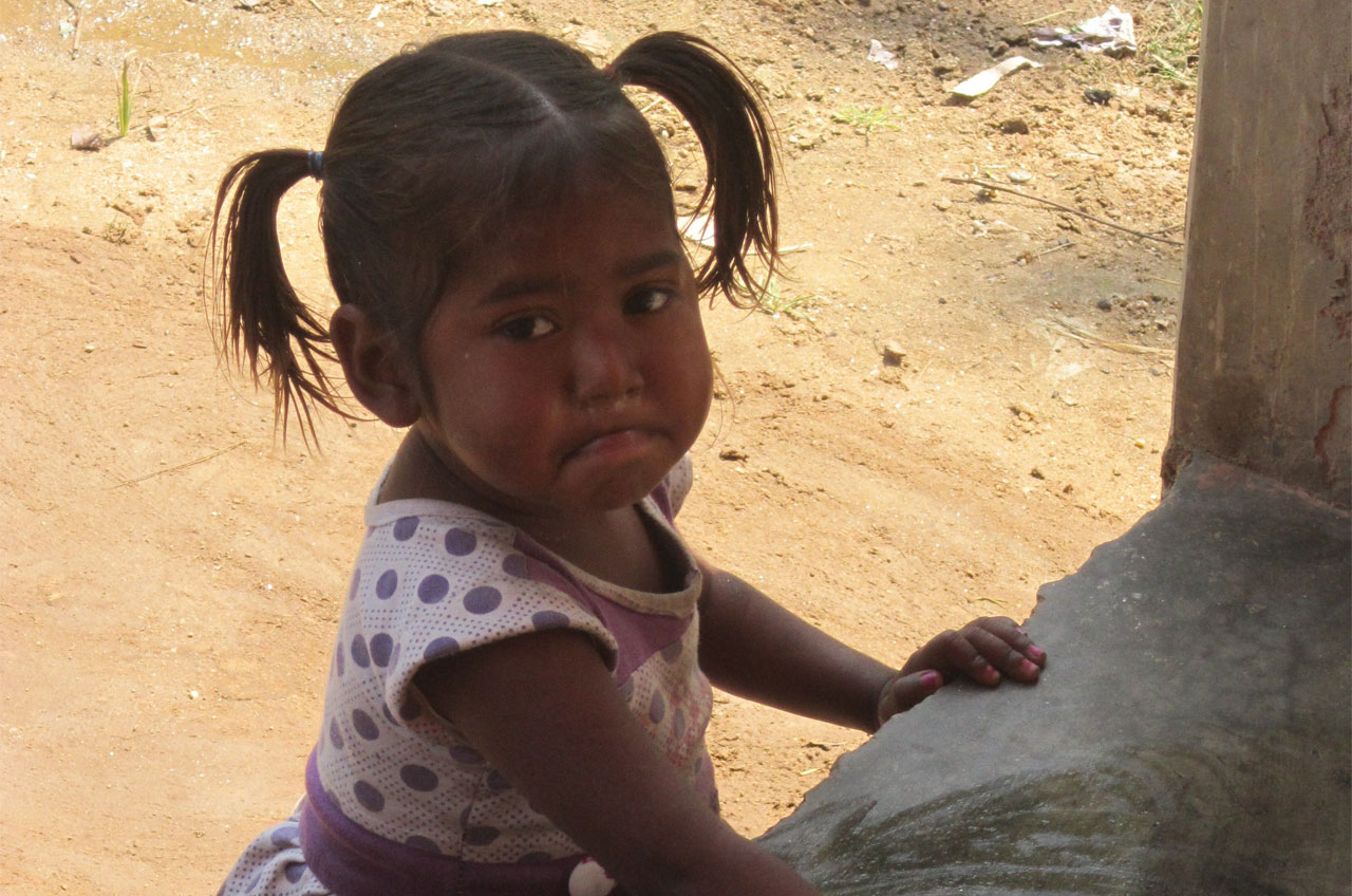 project_Sunderban-Social-Development-CentreΓÇôSSDC-West -Bengal