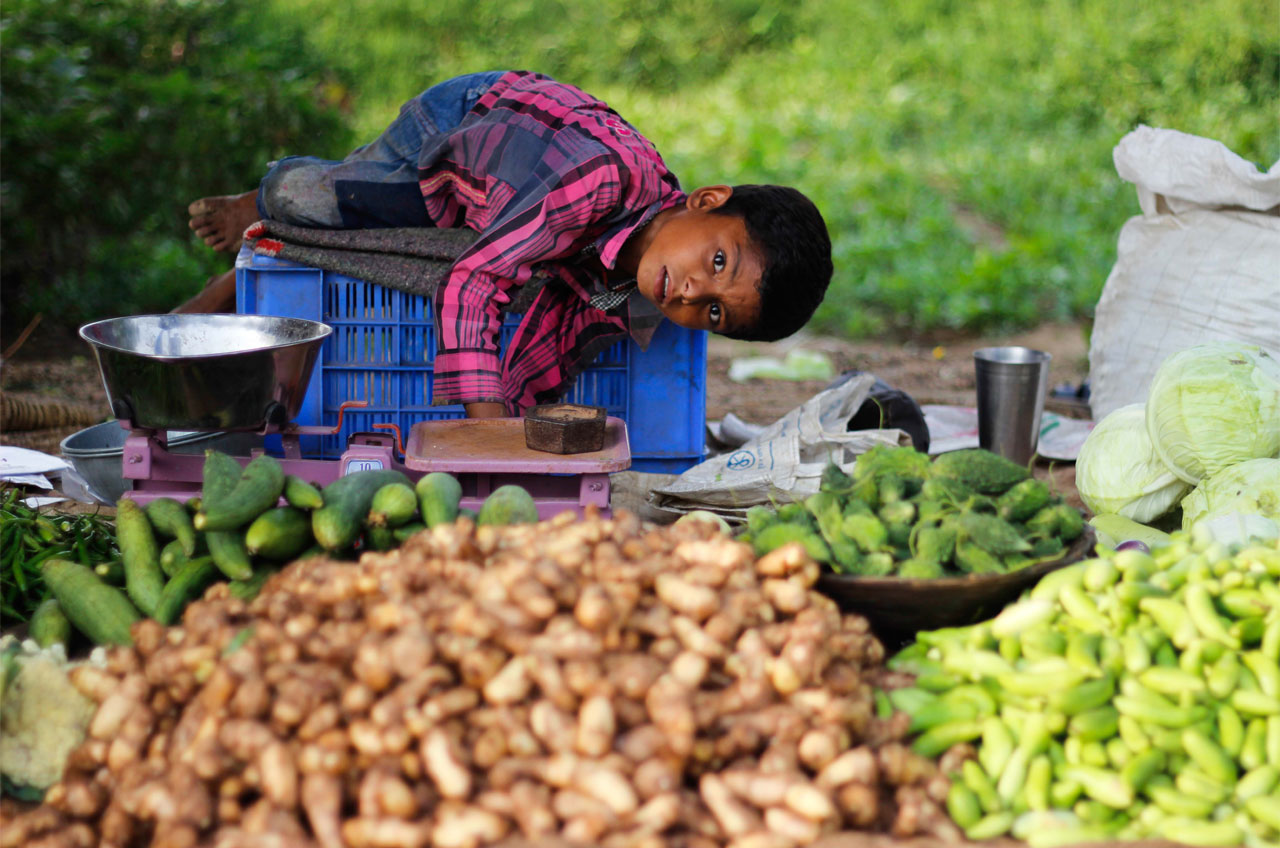 VSS Project for Malnutrition in Madhya Prades