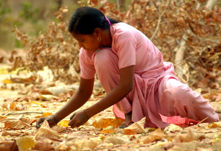 ADHAR to Fight Malnutrition, Child Labour & Education