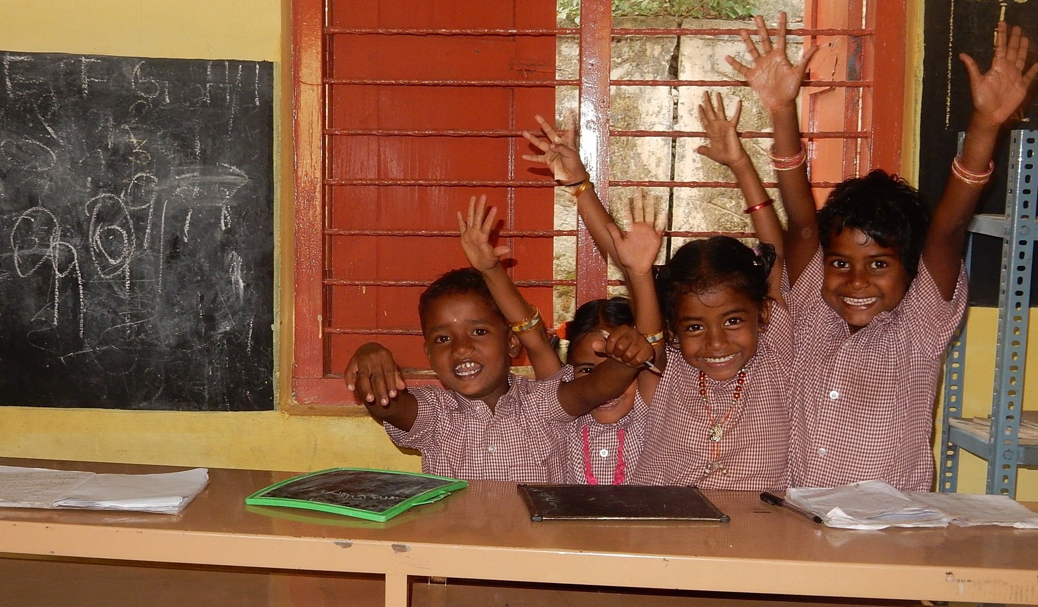 Non Profit Organization in India