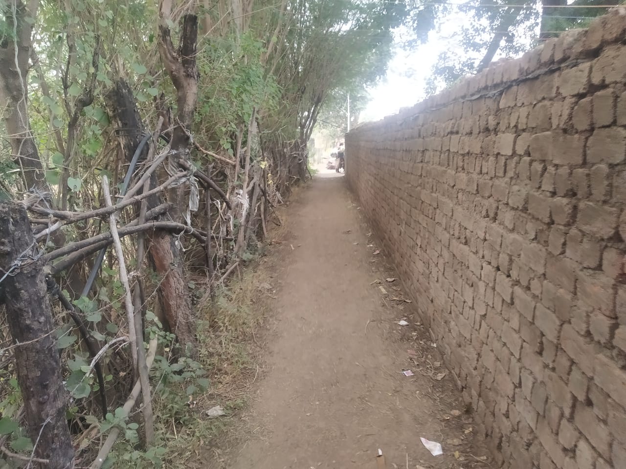 street of Bedia community