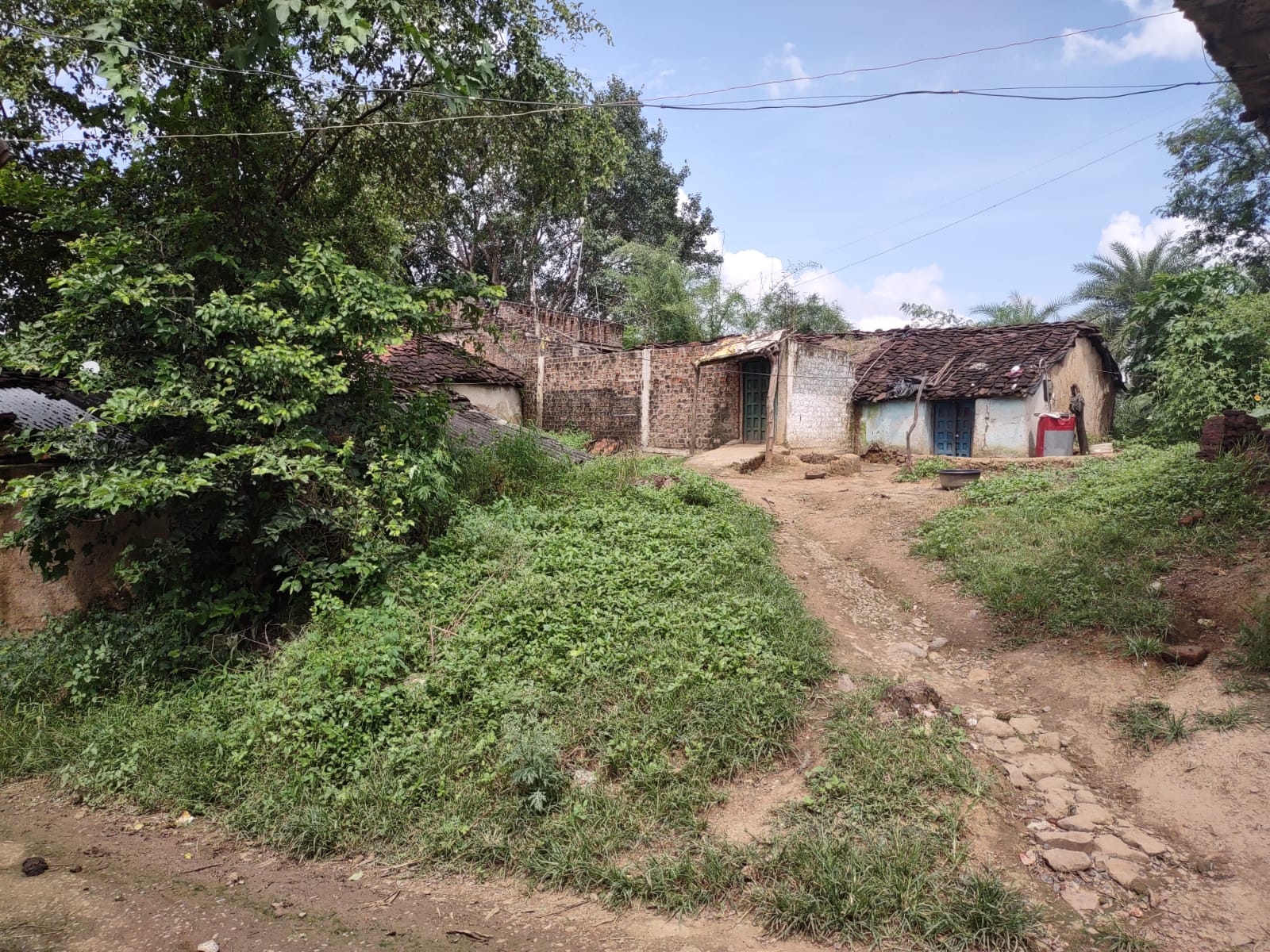 Bedia community